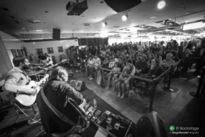 Viva Suecia Fnac 2017