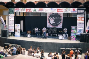 Viva Suecia Torres de Cotillas